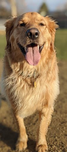 Colver Road Park-菲尼克斯