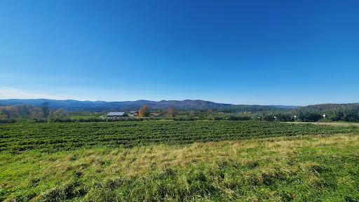 Wellwood Orchards