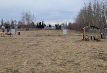 Calmar Dog Park景点图片