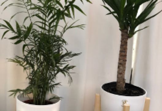 Las Acacias Vivero Boutique购物图片