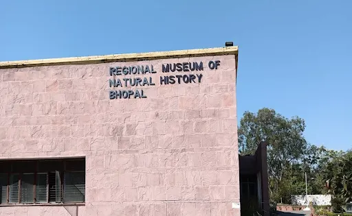 Regional Museum of Natural History