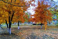 Park Im. Andreya Sulina景点图片