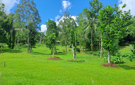 KAI MEYA
