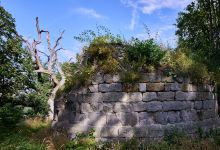 Anhalt Castle景点图片