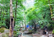 mamshlem waterfall景点图片