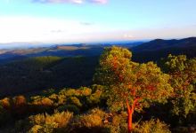 Kastro Tarapsas景点图片