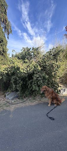 Ruth Rowell Modie Wildlife Park-刘易斯顿