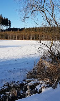 Eichenauer See-艾歇瑙