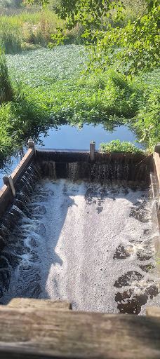 Talking Water Gardens-奥尔巴尼