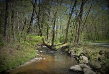 Fourteen Mile Creek Trail景点图片