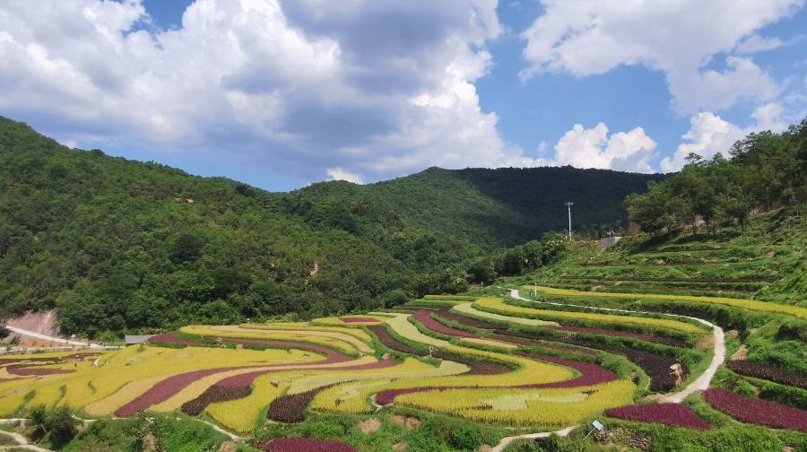 核桃箐彝族文化生态旅游景区