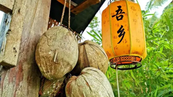 寶泉嶺植物園
