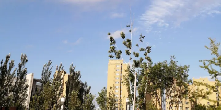 憩園健康主題公園