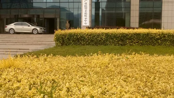 中關村智慧環境產業聯盟承德展示中心