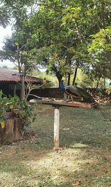 Chapada Imperial-Brazlandia