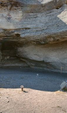 Walichu tip (Cuevas Gualicho)-阿根廷湖县