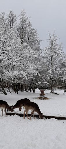 Wildgehege Marienhölzung-弗伦斯堡