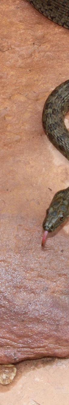 滑石州立公园-科科尼诺县