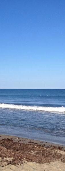 Hampton Beach State Park-汉普顿