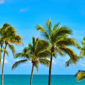 Fort Lauderdale