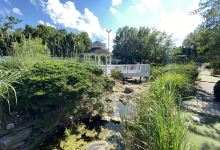 Renaissance Fun Park景点图片