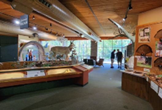 Salato Wildlife Center景点图片