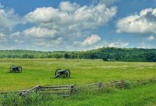 Pea Ridge National Military Park景点图片