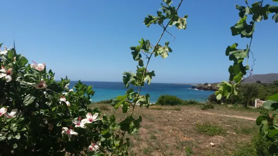 Vatsa Bay
