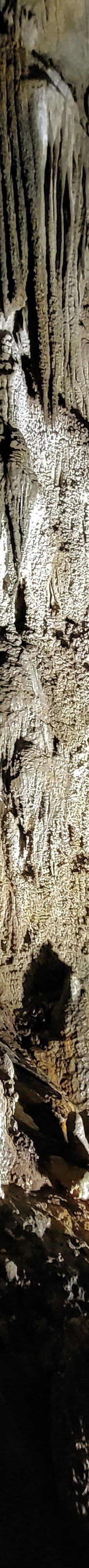 Ngarua Caves-Takaka Hill