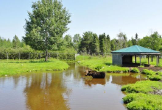 Refuge Pageau景点图片