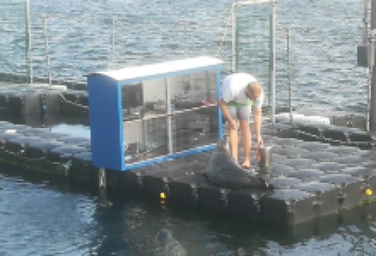Marine Science Center景点图片