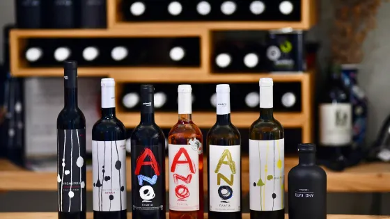 Anoskeli Winery