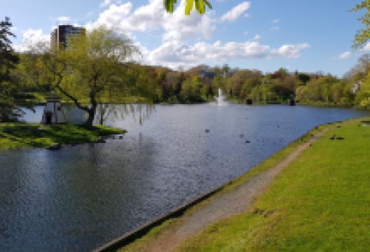 Sullivan's Pond景点图片