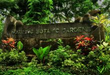Makiling Botanic Gardens景点图片