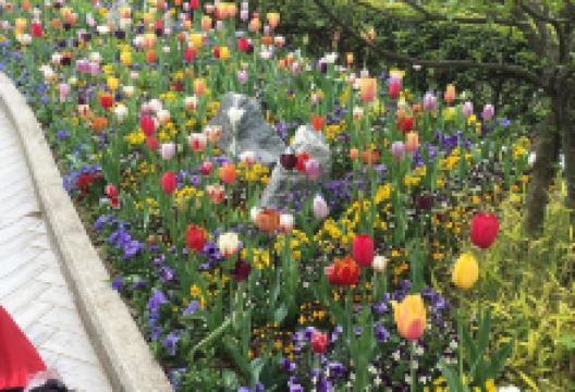 PinnacleLand景点图片