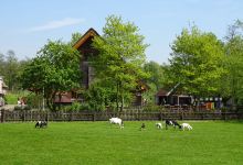 Speelboerderij Elsenhove景点图片