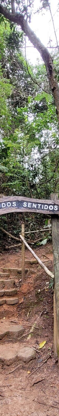 Parque Estadual Mata do Limoeiro-伊塔比拉