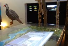 Centro de Visitantes Angostura del Biobio景点图片