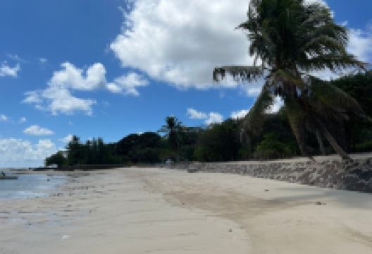 Anse Aux Pins Beach景点图片