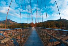Thumboormuzhi Dam & Garden景点图片