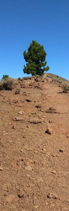Pico Birigoyo-Sa Vileta-Son Rapinya