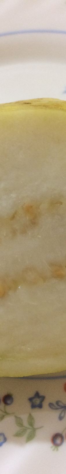 Bandarabbas Birdgarden-阿巴斯港