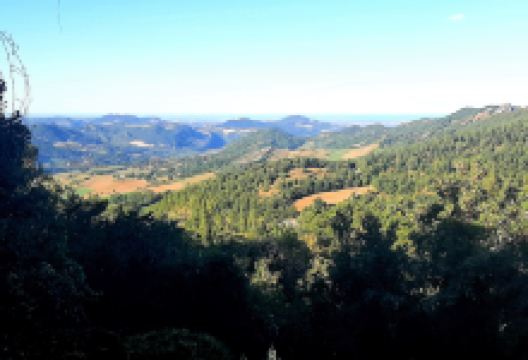 Parco Belvedere - Punto Panoramico景点图片