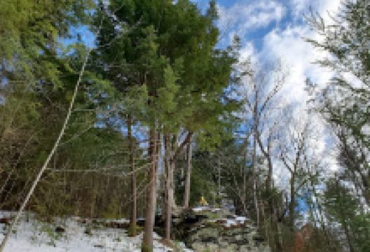 The Buddha景点图片