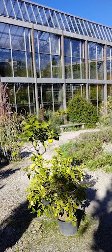 Botanical Garden-维尔茨堡