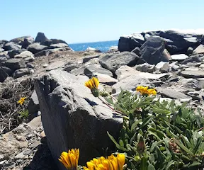 Penneshaw Penguin Centre