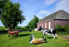 Vogelmuseum "It Fûgelhûs"景点图片