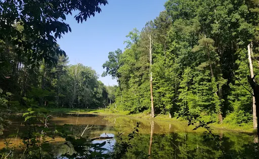 Ribbonwalk Nature Preserve