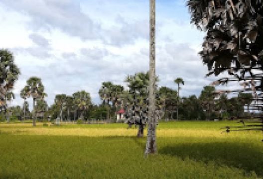 Masjid Doun Taok景点图片