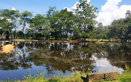 Emporio Restaurant and fishing